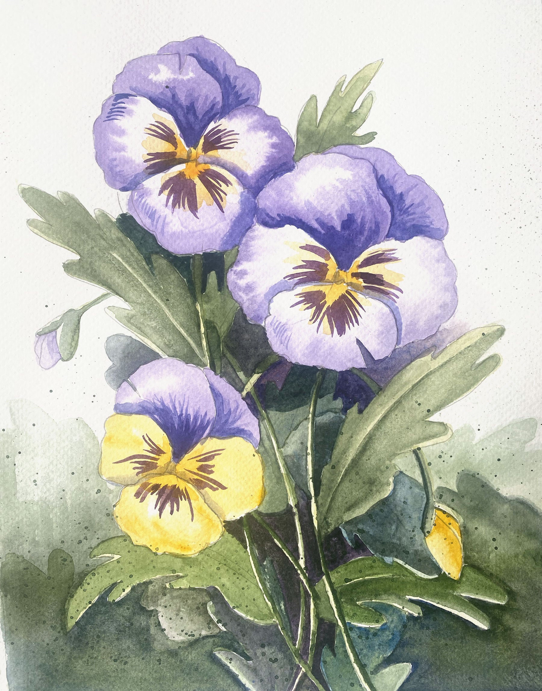 Prairie Gardens Pansy Watercolor Workshop
