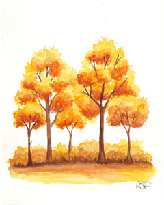 Fall Watercolor Workshop in the Prairie Gardens Greenhouses