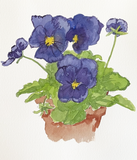 Jeffrey Alans Pansy Painting Workshop