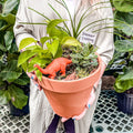 Dino Planter Workshop