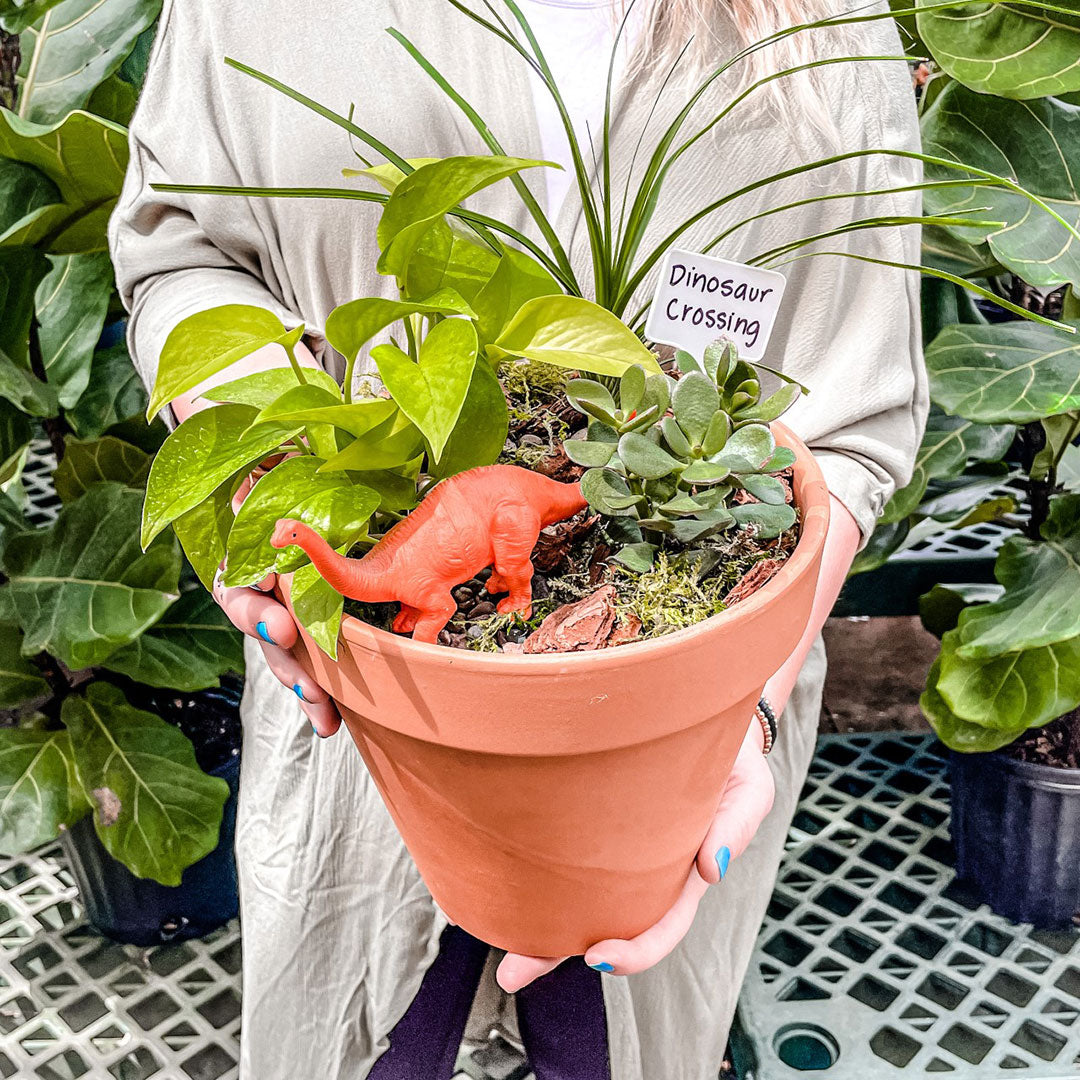 Dino Planter Workshop