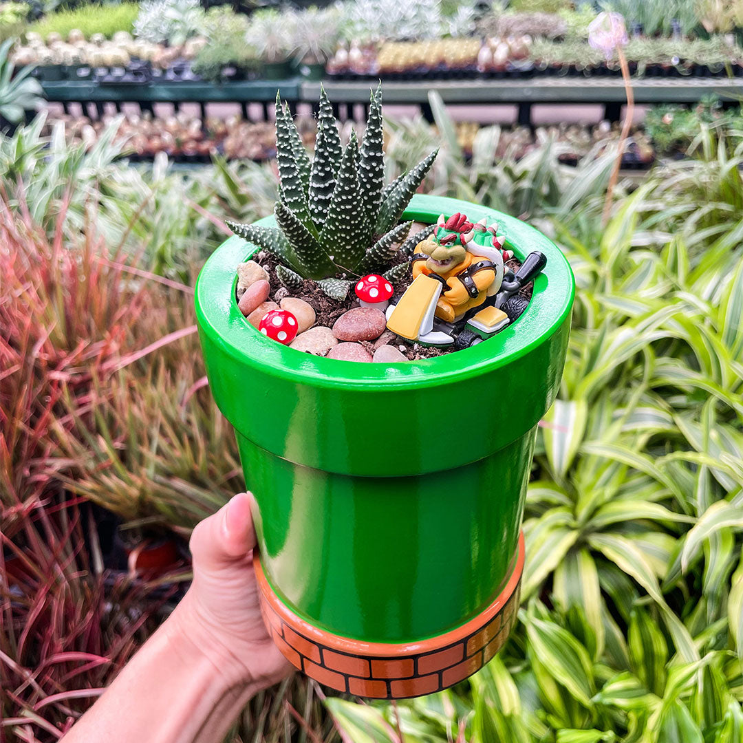 Mario Planter Workshop